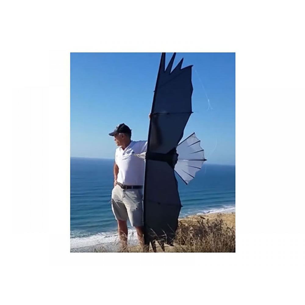 Revolution Kites Eagle Raptor
