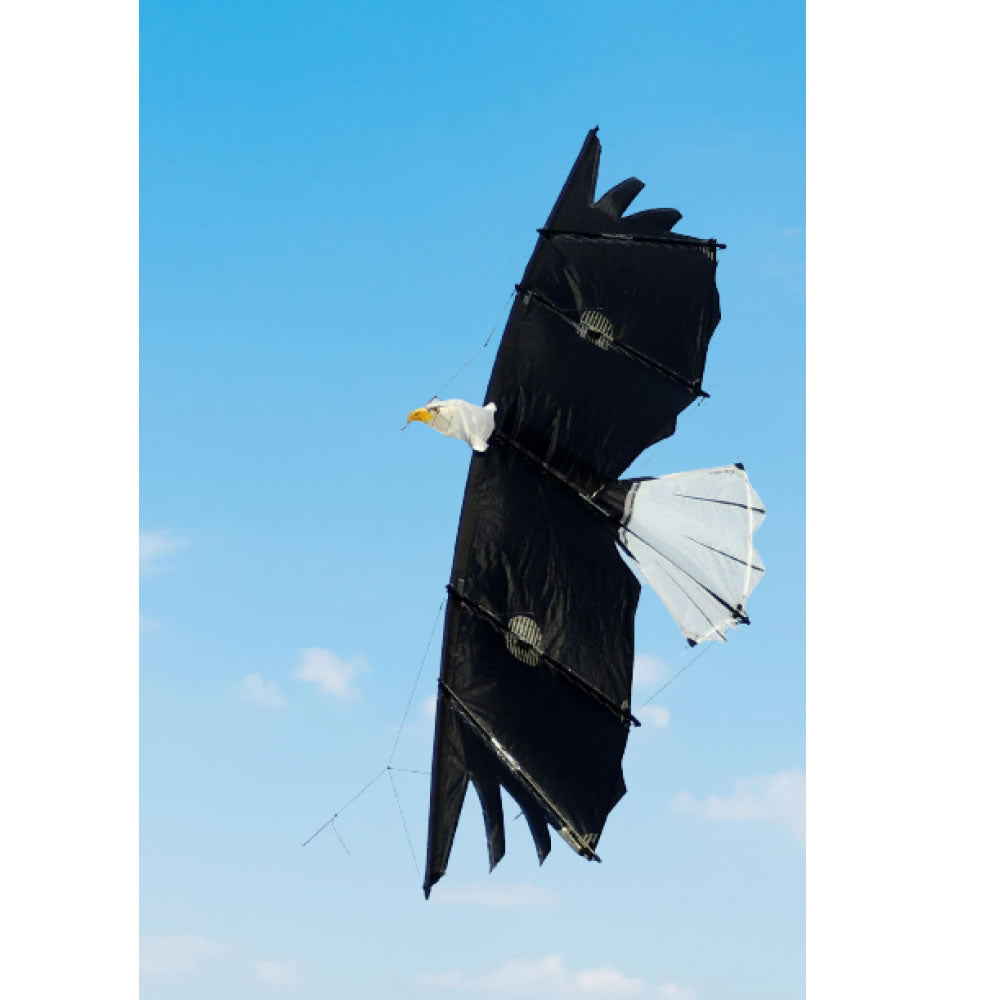 Revolution Kites Eagle Raptor
