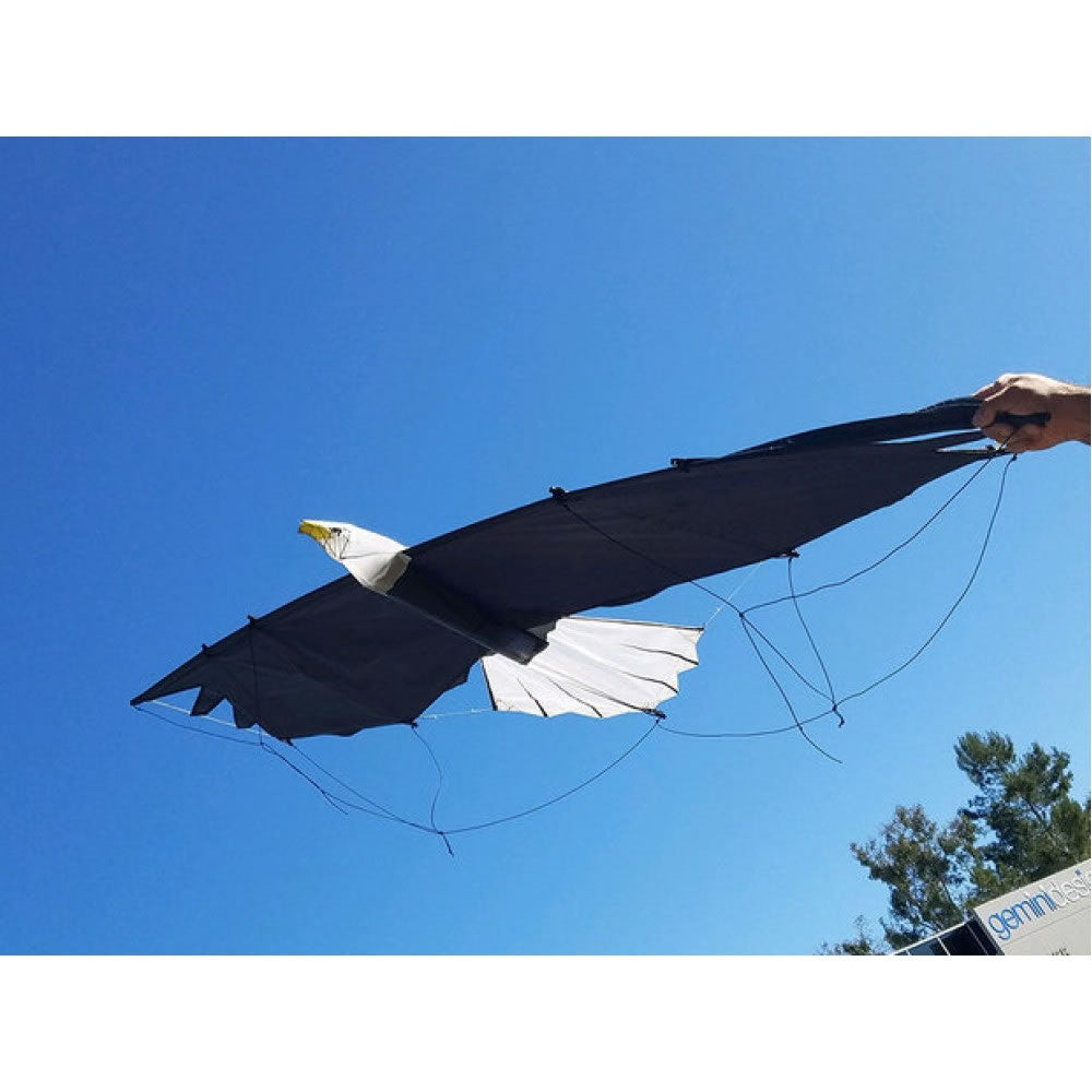 Revolution Kites Eagle Raptor