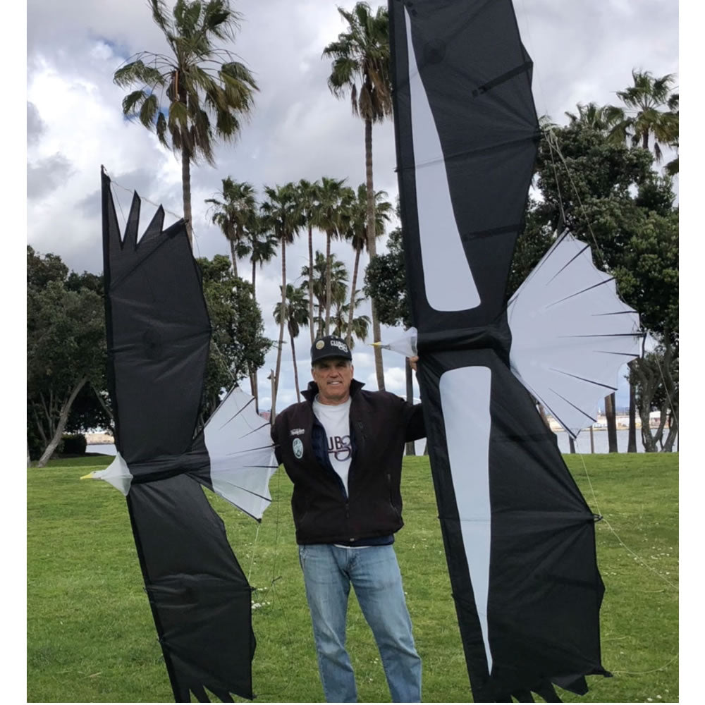 Revolution Kites Condor