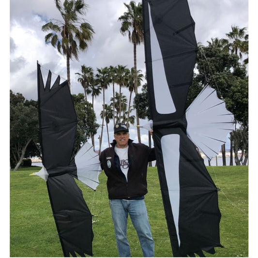 Revolution Kites Condor