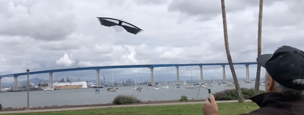 Rev Kites UK Featured Products