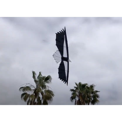 Revolution Kites Condor